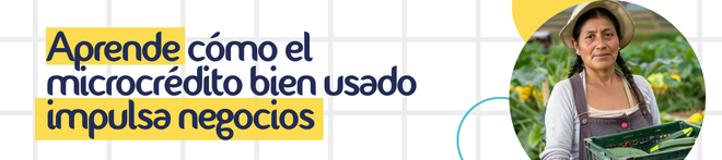 Capacitar al empresario en microcrédito: porque no es solo pedir o dar plata, es saber usarla bien